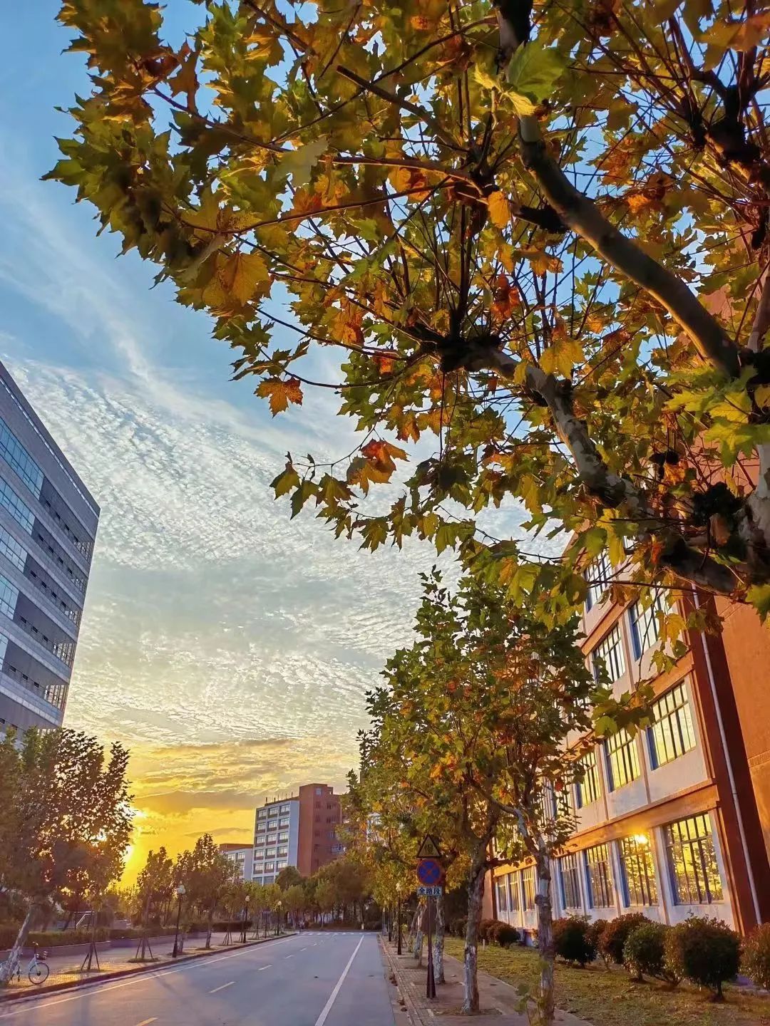 1668610538132076394.jpg 1668610538132076394.jpg